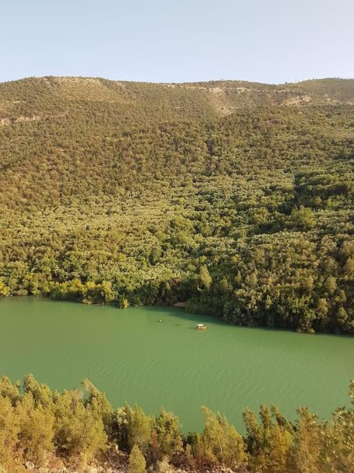 Le Figuier Du Lac Bin Elouidane Dış mekan fotoğraf