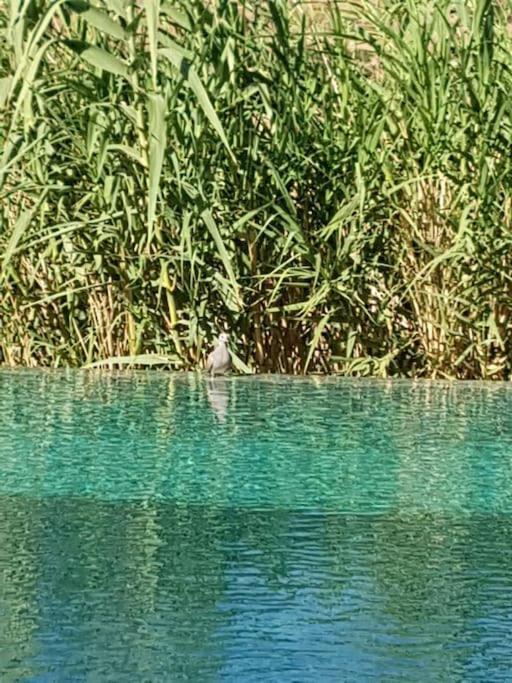 Le Figuier Du Lac Bin Elouidane Dış mekan fotoğraf